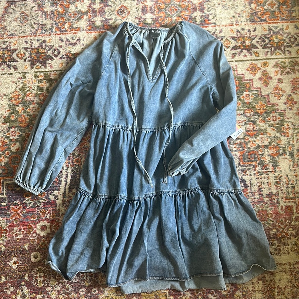 ARULA Long Sleeve Denim Dress